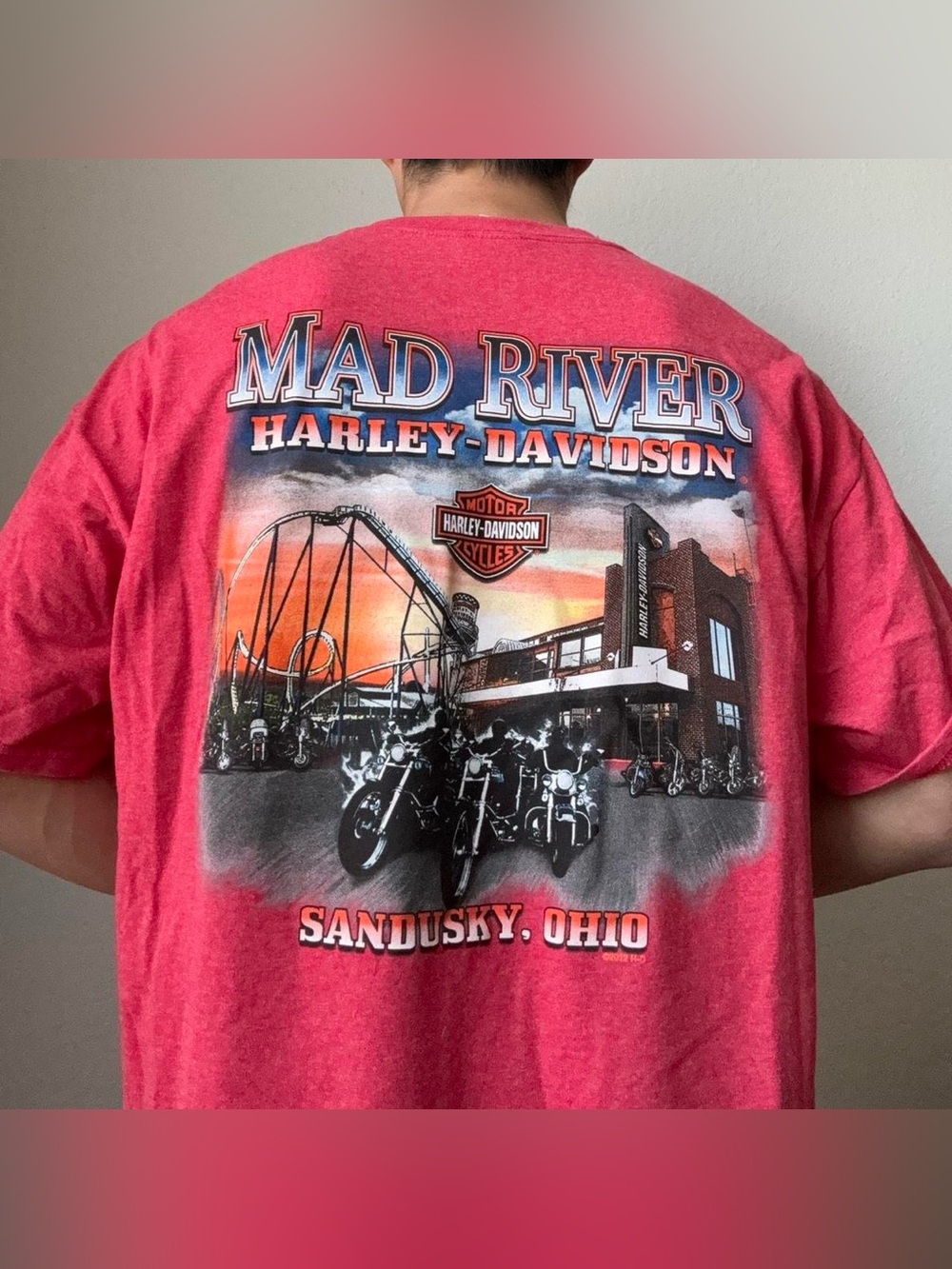 Vintage 2000s Harley Davidson Sandusky Graphics Red Tee Shirt